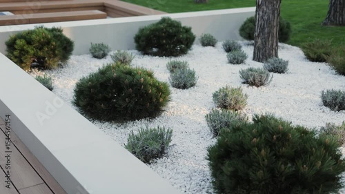 Minimalist garden at sunset, landscape design next to the house, with white stones, lush coniferous shrubs and vegetation. Garden design, front yard.