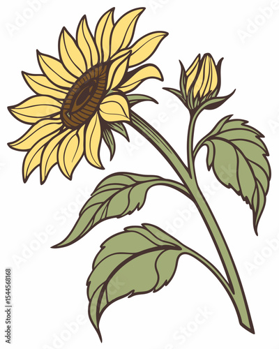 vector illustration of yellow sunflower