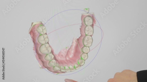 Digital Dental 3D Scan Visualization, Teeth Structure Displayed on Touchscreen