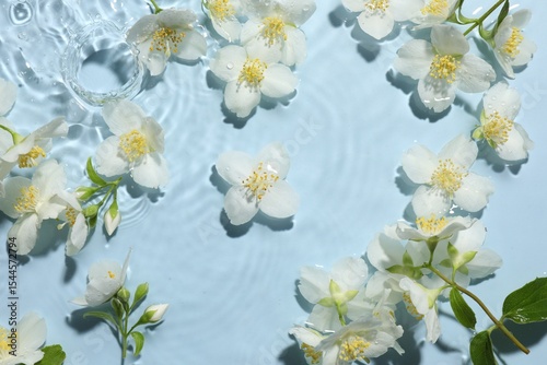 Beautiful jasmine flowers in water on light blue background, flat lay