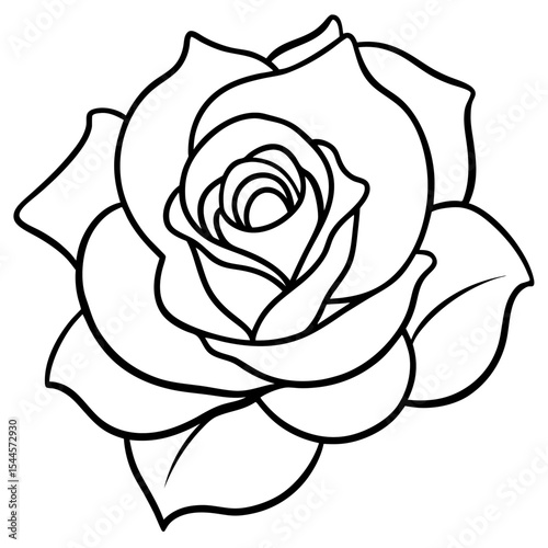  Minimal Rose Blossom Line Art 