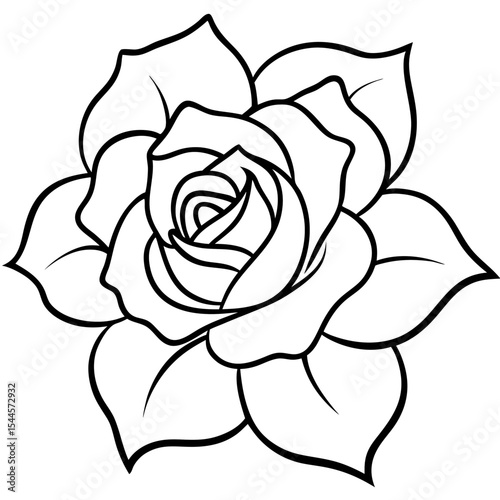  Minimal Rose Blossom Line Art 