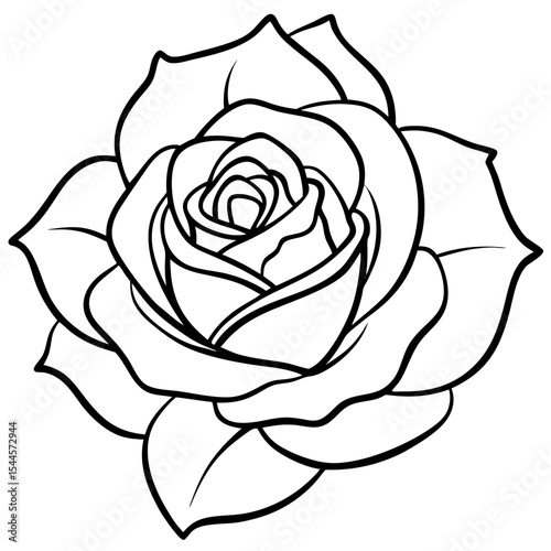  Minimal Rose Blossom Line Art 