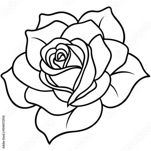  Minimal Rose Blossom Line Art 
