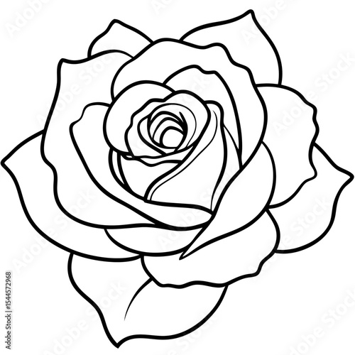  Minimal Rose Blossom Line Art 