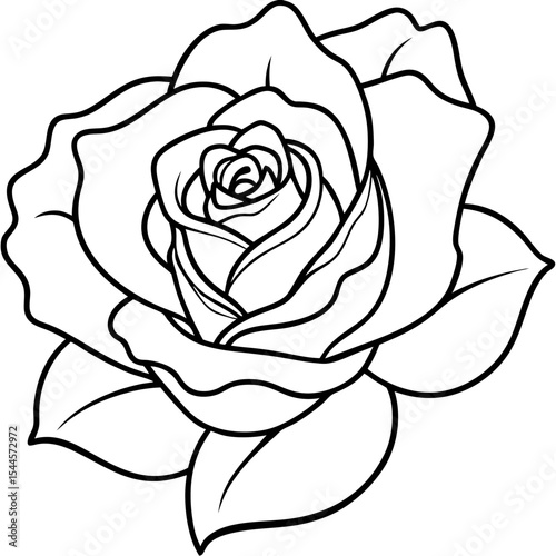  Minimal Rose Blossom Line Art 
