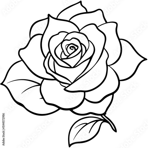  Minimal Rose Blossom Line Art 