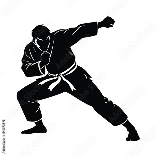A black and white silhouette of a martial arts practitioner executing a punching movement