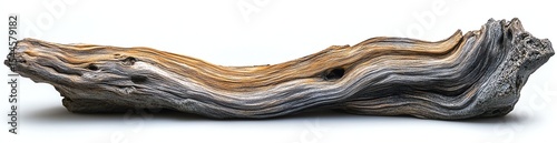 Driftwood piece with unique textures and patterns.