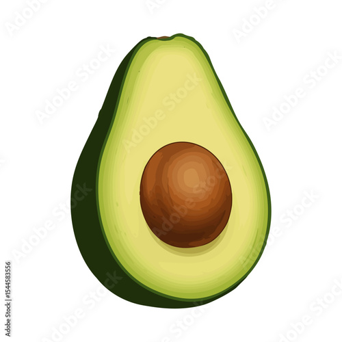 Vector Illustration of Fresh Avocado Isolated on Transparent Background