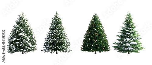 Pack Collection Four Evergreen Trees Winter Conifer Collection for Design Projects set against transparent background