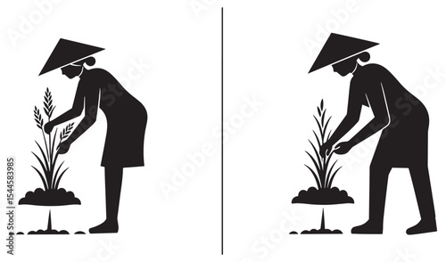 Silhouette of a rice farmer planting rice in the field with traditional hat