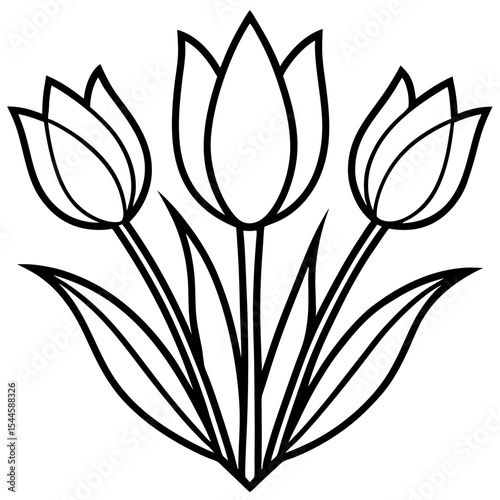 Romantic Tulip Line Art Illustration 