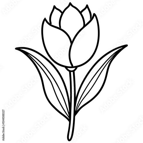 Romantic Tulip Line Art Illustration 