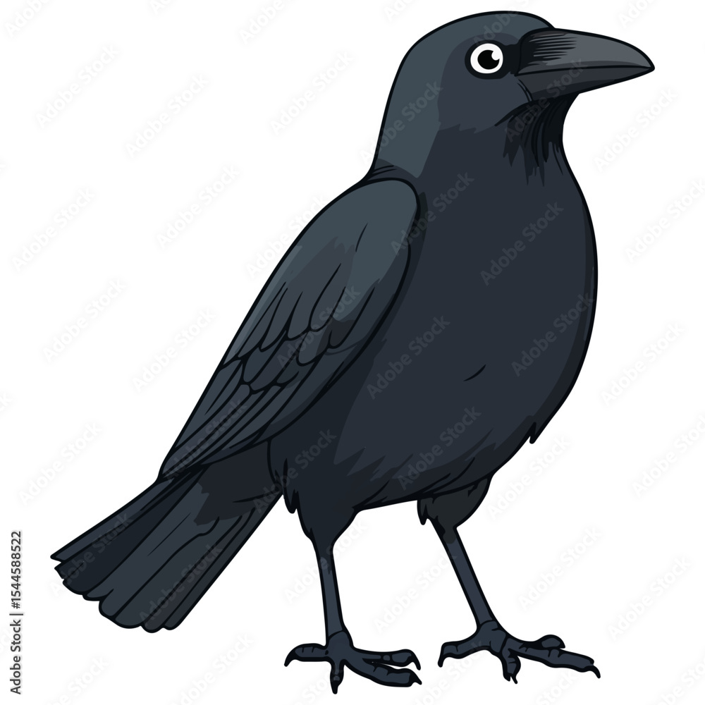 Fototapeta premium crow, animal, vector, transparent background, raven, nature, wildlife, feather, beak, isolated, wing, wild, biology, corvus, icon