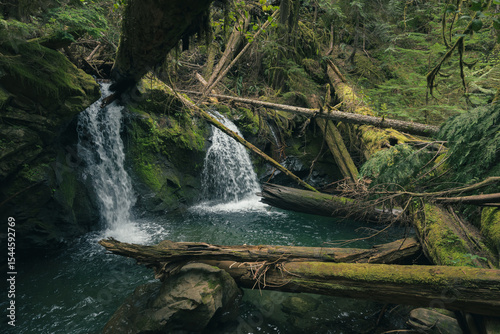 Waterfalls in small forest pool with downed trees criss-crossing the water