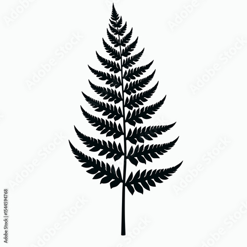 Detailed Black and White Fern Frond Illustration, Botanical Vector Graphic for Design Elements
