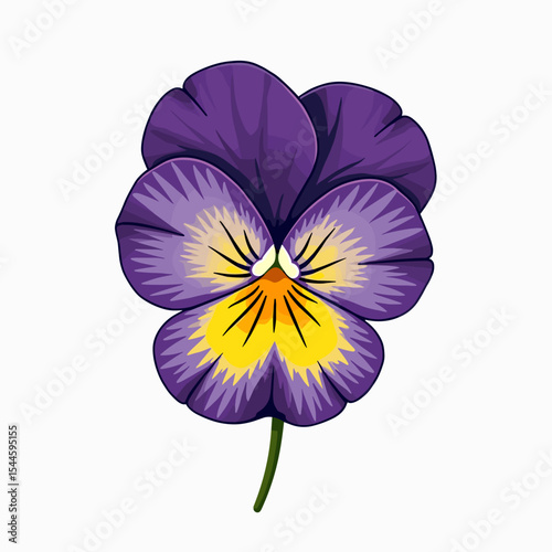 Detailed Illustration of a Purple and Yellow Pansy Flower with Green Stem on White Background