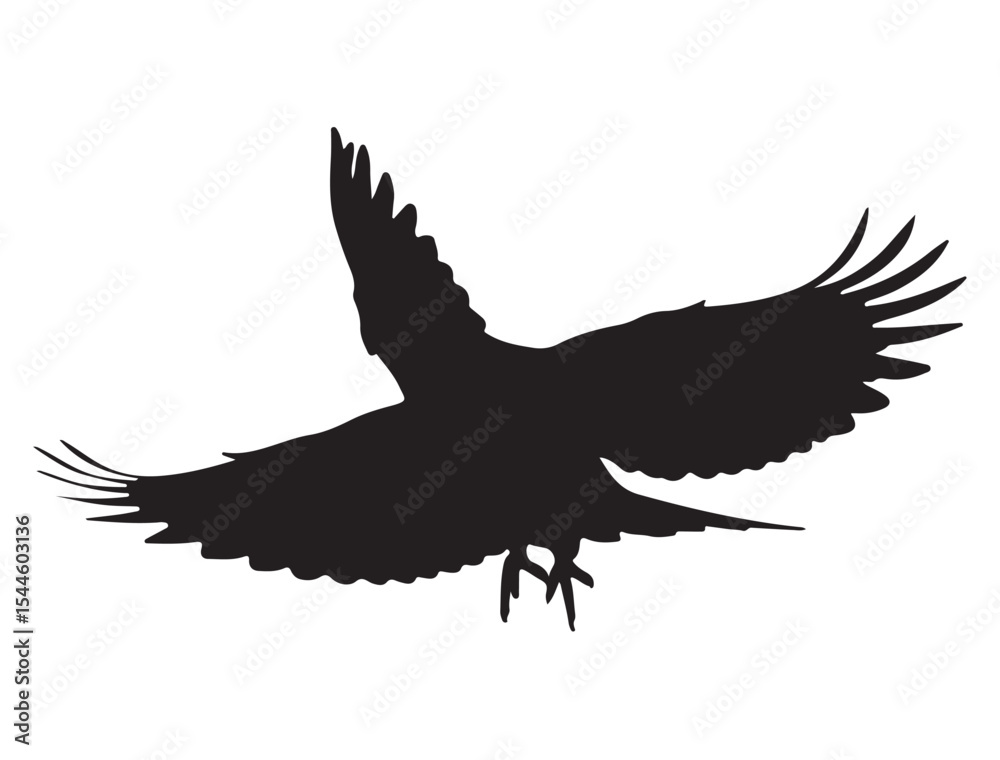 Obraz premium Bird Silhouette