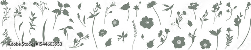 Set of isolated flowers, branches and leaves silhouettes. Hand drawn vector botanical elements