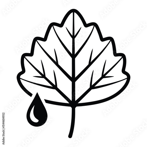 Poplar Leaf Icon, Vector, Illustration, Outline, Line Art, Silhouette, Logo, White Background.