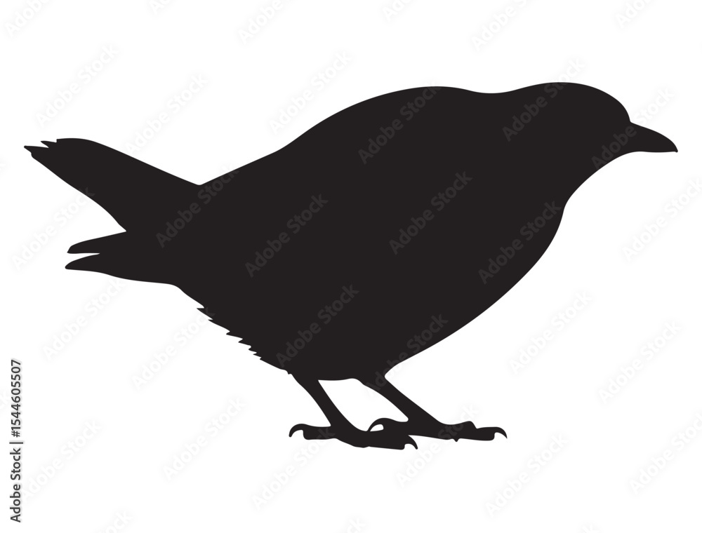 Obraz premium Bird Silhouette