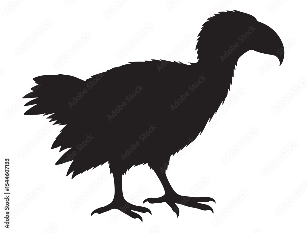 Fototapeta premium Bird Silhouette