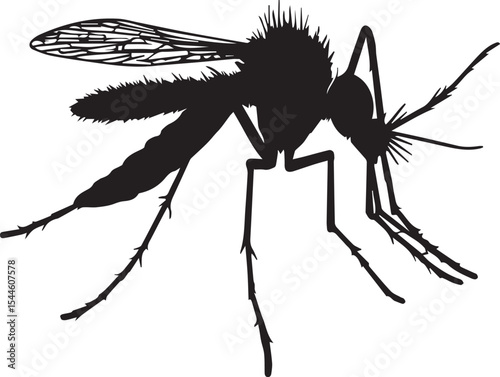 World Mosquito Day