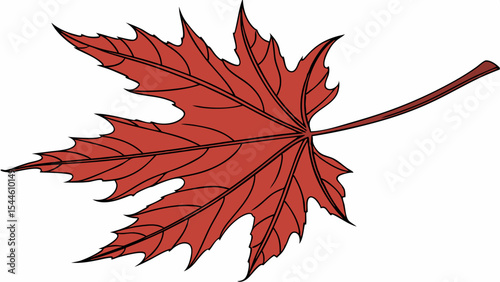 A vibrant red maple leaf, a quintessential autumn leaf, beautifully isolated on white, captures the essence of nature's fall color