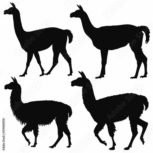 Llamas Silhouette Vector Set in Minimalist Flat Style
