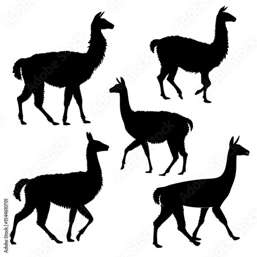 Llamas Silhouette Vector Set in Minimalist Flat Style