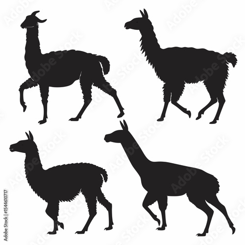 Llamas Silhouette Vector Set in Minimalist Flat Style