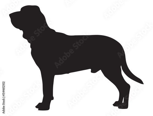 Bloodhound Dog Silhouette