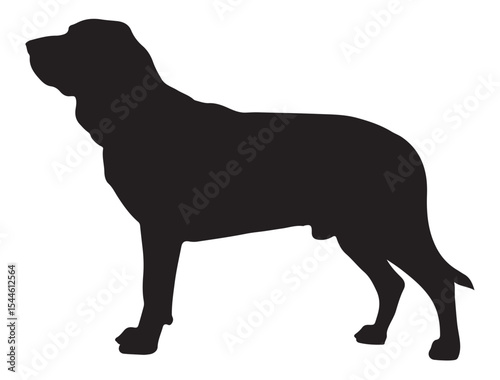 Bloodhound Dog Silhouette