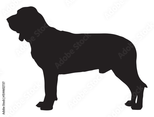 Bloodhound Dog Silhouette