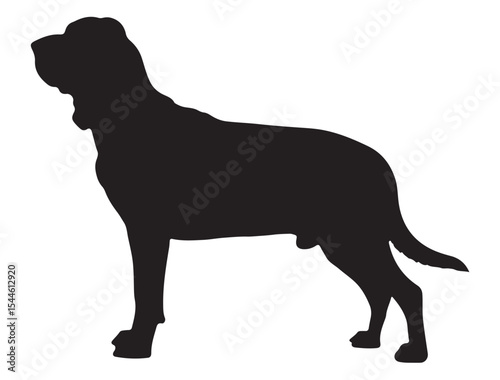Bloodhound Dog Silhouette