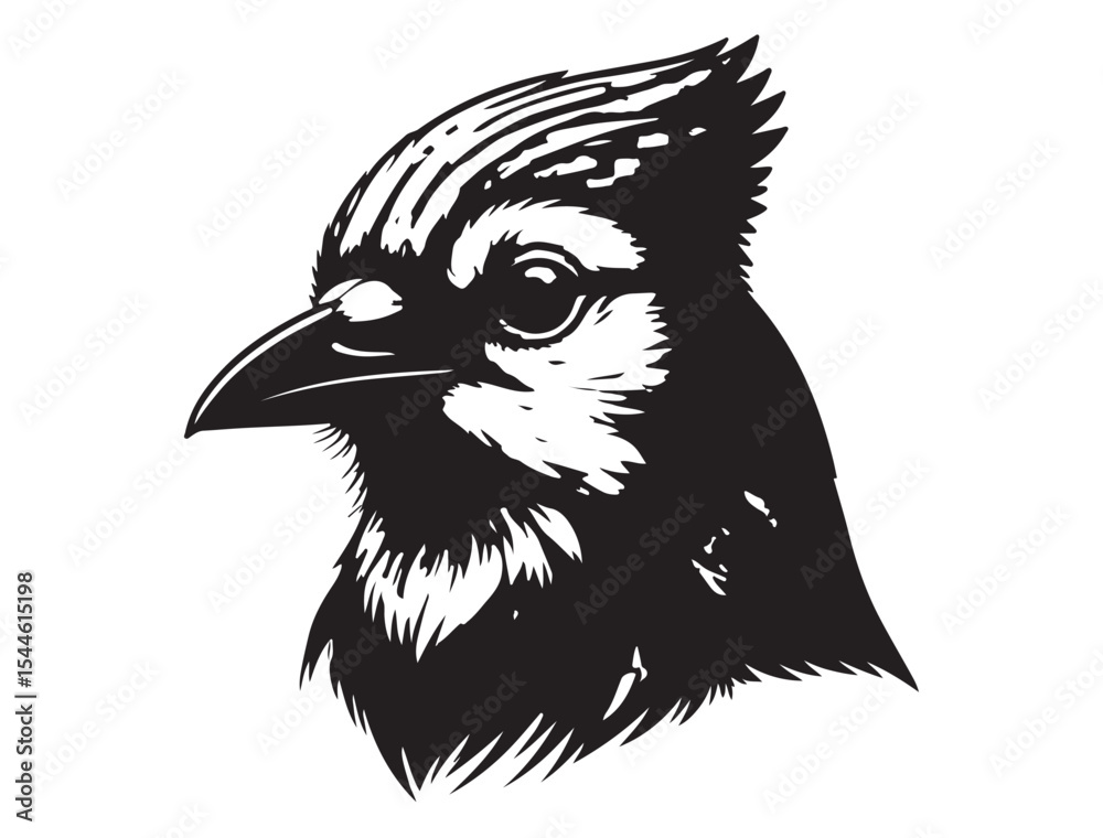 Obraz premium Blue Jay Bird Silhouette