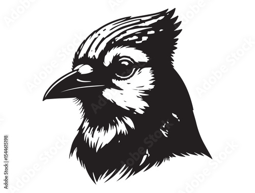  Blue Jay Bird Silhouette
