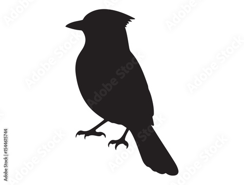  Blue Jay Bird Silhouette