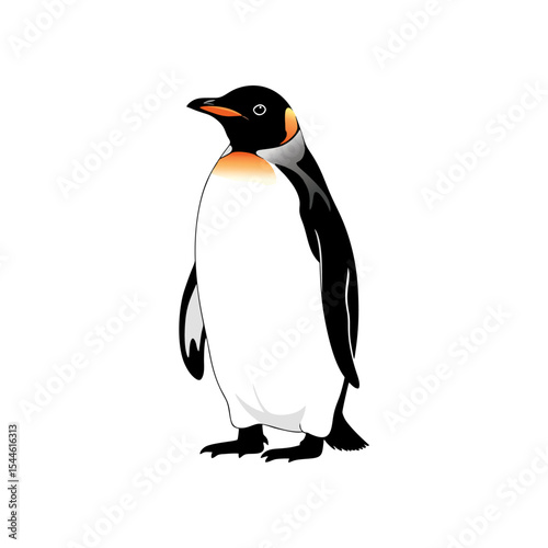 penguin vector illustration on white background