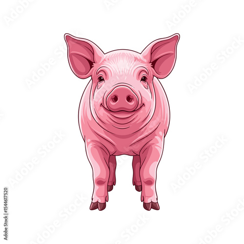 pink pig vector illustration on white background