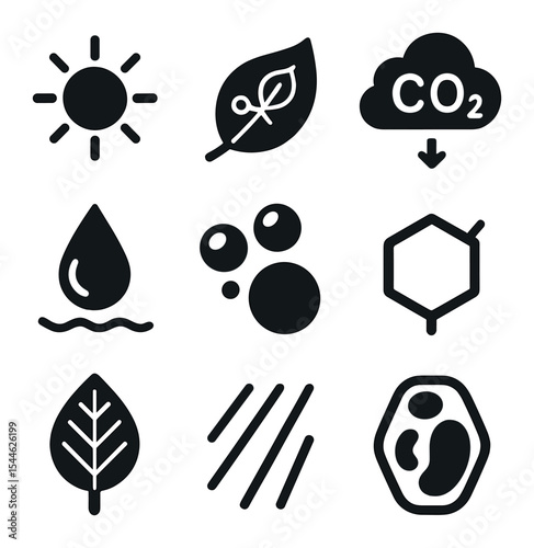 Photosynthesis Icons Grid. Solid, filled icons set of photosynthesis process: light energy, chlorophyll,