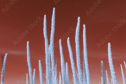 Ghostly frosted cattails punctuate the martian twilight, invoking Frost Moon whispers and Lost Socks Memorial Day nostalgia
