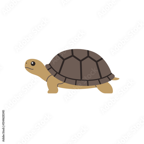Side Profile of a Cute Cartoon Tortoise Walking.