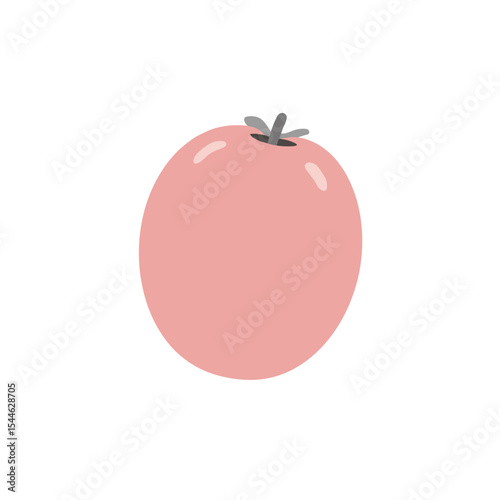 Simple Illustration of a Pink Tomato with Grey Stem.