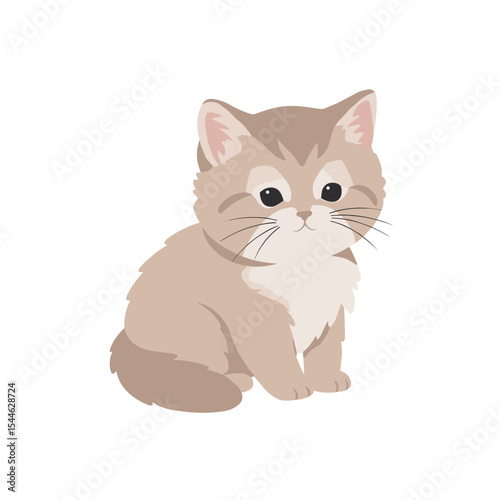 Adorable beige kitten with fluffy white chest and expressive black eyes.