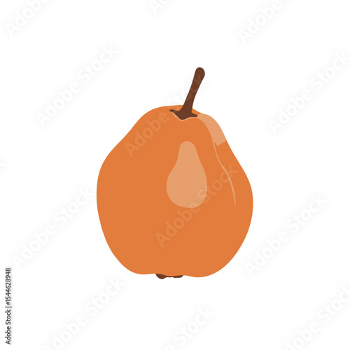 Single Ripe Quince Fruit Illustration Warm Tones Simple Style.