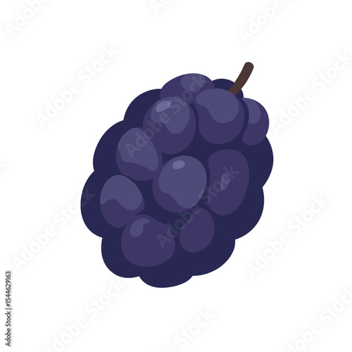 A Vibrant Stylized Illustration of a Fresh Juicy Blackberry Cluster.