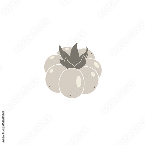 Stylized Cloudberry Illustration: Pale Grey Berry with Dark Sepals.