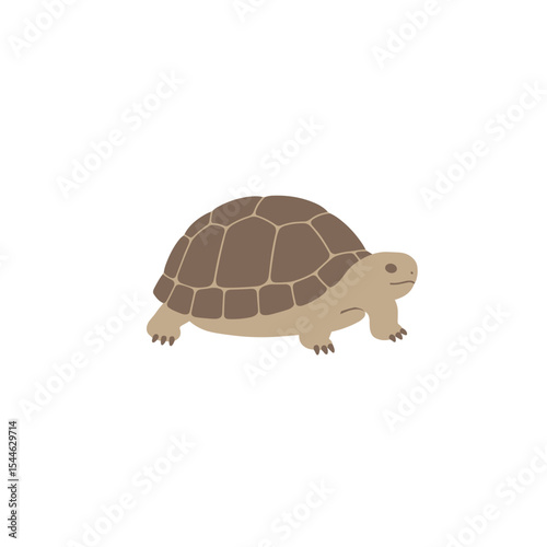 Stylized Tortoise Illustration with Segmented Shell and Neutral Tones.